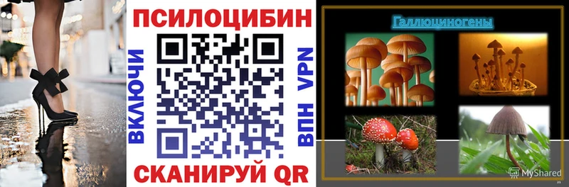 гидра tor  Моршанск  Галлюциногенные грибы Magic Shrooms 