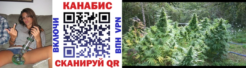 это наркотические препараты  купить наркотик  Моршанск  Бошки Шишки THC 21% 